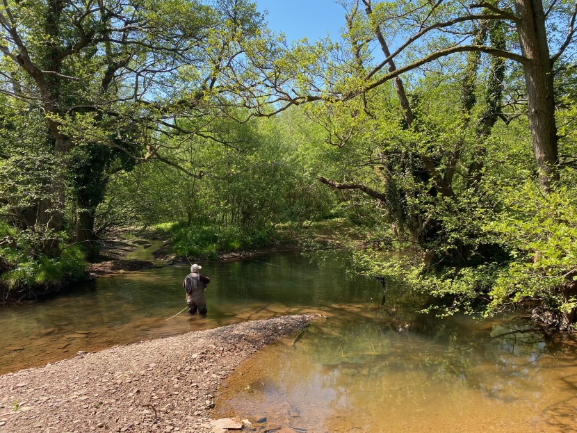 Monnow stalking